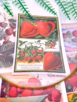 60pcs/kott taim illustratsioon kleebis DIY scrapbooking puu-maasika-seeria fotoalbumi teataja õnnelik kava teenetemärgi kleebised