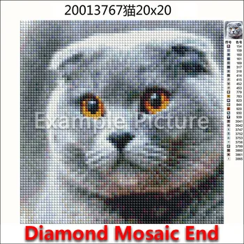 Diamond mosaiik Multikas kass koer kandma Teemant maali ristpistes loomade lindude oranž Täis 5d Diamond tikandid apple päevalill