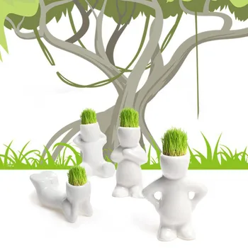 Hot Müük Mini-Bonsai Pea Muru Juuksed Valge Keraamiline Taime -, Aed -, puu Nukk Muru Pot Kaunistamiseks Armas potitaimed Aed Diy