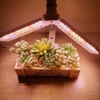 LED Taime Lamp 100W Füto Kerge Kasvuhoone Koju Kasvama Pirn E27 5730 Led Sise-lilleseemned