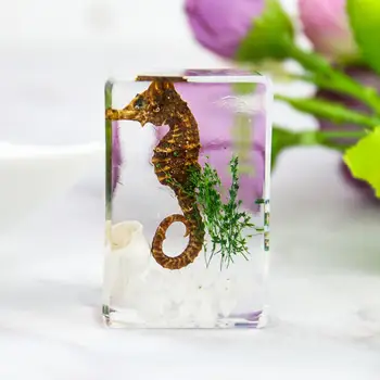 Selge Tsikaad Seahorse Herilane Crystal Amber Tabel Käsitöö-Dekoratsioon Putukate Õpetamise Näidis-Kirjapressist Center Kodus Laua Kaunistamiseks