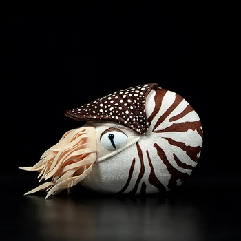 Simulatsioon Nautilus -, Plüüš-Mänguasi Chambered Nautilus Nautiloidea Mudel Sea Life Topiste Pehme Armas Armas Nukud Kingitus Lastele