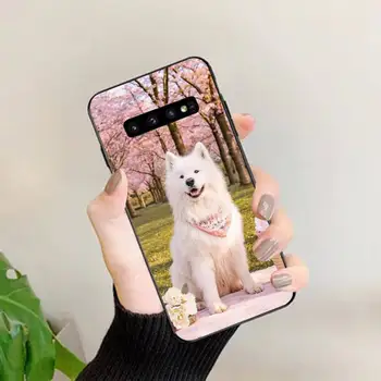 TOPLBPCS armas samojeedi koer koer Telefoni puhul Samsungi S 4 5 6 7 8 9 10 20 pluss lite serv S10 5G