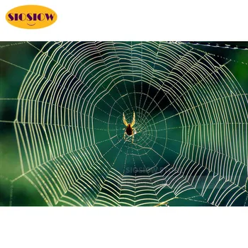 5d Diy Diamond Värvimine Spider Web Täis Square Puurida 3D Diamond Mosaiik Tikandid Loomade ristpistes Komplektid Decor Kodus Ruumi Kingitused