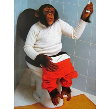 Diamond Maali diy orangutang istub wc diamond tikandid vannitoa aksessuaar kive 5d diamond mosaiik AA211
