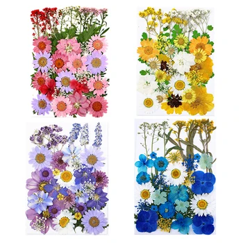 Kuivatatud Pressitud Lilled Vaik kuivanud Lehed Lahtiselt Scrapbooking DIY Kunst Käsitöö