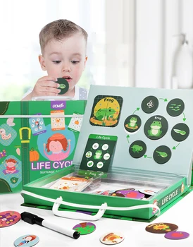 Magnet Montessori Puzzle Sümpaatia elutsükli Looma Inimese Kasvu Mõistatusi Hariduslik mänguasi alushariduse Lapsed Mänguasjad