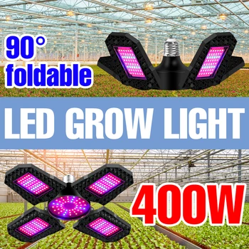220V Phytolamp LED Grow Light Täieliku Spektri Hüdropooniline E27 Taim, Lill, Seemned, Sibulad Fitolamp LED Paneeli Valgustus Siseruumides Kasvada Telk