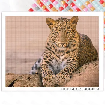 Diy Diamond Maali Loomade Maailma Loodusliku Kaitsealuste Loomade Leopard Kaasaegne Elutoa Kaunistamiseks Maal Ripub Maal