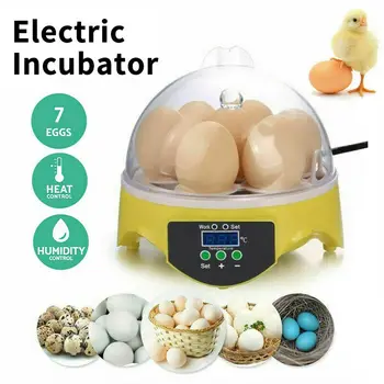 Mini 7 Muna Inkubaator Kodulindude Inkubaator Brooder Digitaalne Temperatuuri Haudejaama Muna Inkubaator Hatcher Kana, Part Lind On Tuvi