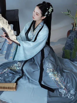 Naine Hanfu Printsess Kostüüm, Traditsiooniline Hiina Vehkleja Staadiumis Täitmiseks Tantsu Kulumise Lady Vana-Tang Dünastia Cosply Riided
