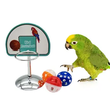 Papagoi Lemmikloom Korvpalli Hoop Rekvisiidid Parakeet Kellad Pallid Puzzle Mängu Närida Esita Mänguasjad Tarvikud