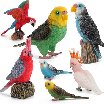 Simulatsioon Lind Mudelid Budgerigar Kakaduu Macaw Papagoi Simuleeritud Lindude Tegevuse Arvandmed PVC Figuriin Mänguasjad Lastele Hariduse Kingitus