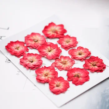 DIY Aroomiteraapia Vaha Tabletid Tehase pressitud lille Reljeef Kodus küünla kaunistus materjali Kuivatatud lill seeria