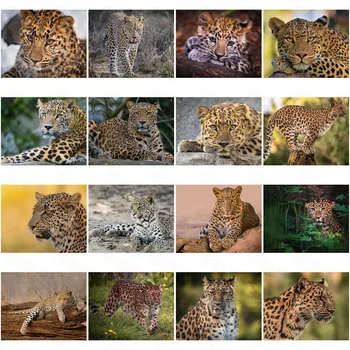 Diy Diamond Maali Loomade Maailma Loodusliku Kaitsealuste Loomade Leopard Kaasaegne Elutoa Kaunistamiseks Maal Ripub Maal