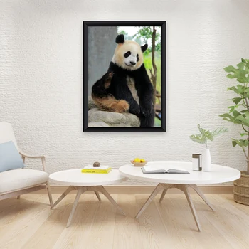 DIY Panda 5D Diamond Maali Full Ringi Puurida Loomade Diamond Tikandid ristpistes Komplektid Mosaiik Seina Art Home Decor
