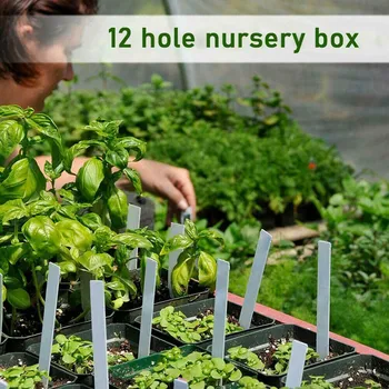 12 Rakkude Auk Lasteaed Potid Taimede Seemnete Kasti Plaat Paigaldage Külvi Puhul Plastikust Taime Seemned Kasvavad Kasti Baasi Aias Kasvavad Box