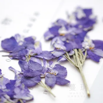 DIY Aroomiteraapia Vaha Tabletid Tehase pressitud lille Reljeef Kodus küünla kaunistus materjali Kuivatatud lill seeria