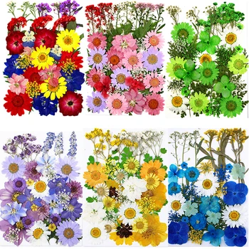 Kuivatatud Pressitud Lilled Vaik kuivanud Lehed Lahtiselt Scrapbooking DIY Kunst Käsitöö