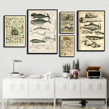 Mere-Elu Shell Kala Loomade Retro Illustratsioon Õli, Lõuend Maali Plakatid ja Pildid Seina Art Pilt elutuba