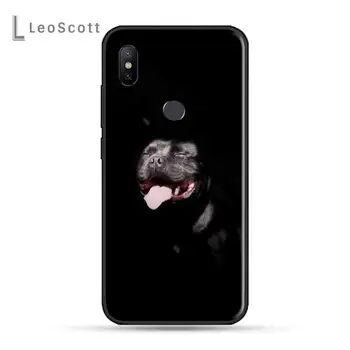 Pit Bull Armas Pet Dog Pitbull Telefoni Puhul Xiaomi Redmi märkus 7 8 9 t max3 s 10 pro lite kate funda coque kest