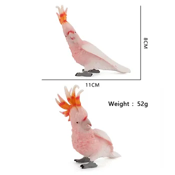 Simulatsioon Lind Mudelid Budgerigar Kakaduu Macaw Papagoi Simuleeritud Lindude Tegevuse Arvandmed PVC Figuriin Mänguasjad Lastele Hariduse Kingitus