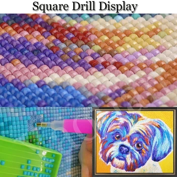 Täielik Square 5D DIY Diamond Maali prantsuse buldog Patterns on Pärlitega Tikand ristpistes Näputöö Mosaiik Maal Kingitus Decor